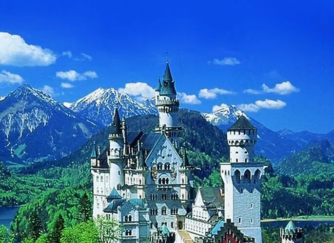 Haflingerhof