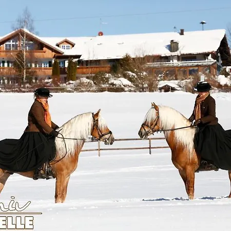 Отель Haflingerhof 3*