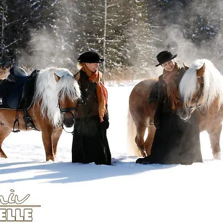 酒店 哈弗林格霍夫酒店 3*