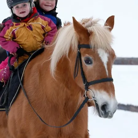 哈弗林格霍夫酒店 3*