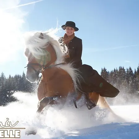 哈弗林格霍夫酒店 Roßhaupten