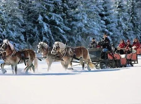 Отель Haflingerhof 3*