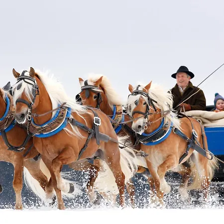 酒店 哈弗林格霍夫酒店 3*