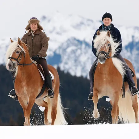 哈弗林格霍夫酒店 Roßhaupten