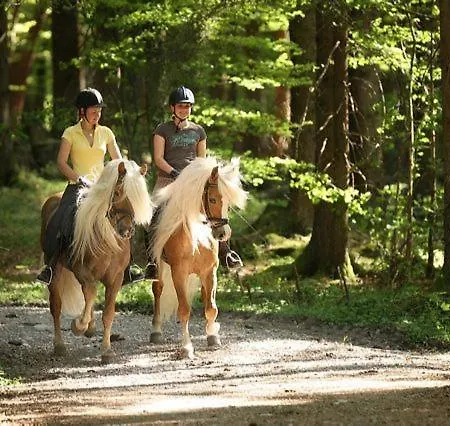 哈弗林格霍夫酒店 Roßhaupten