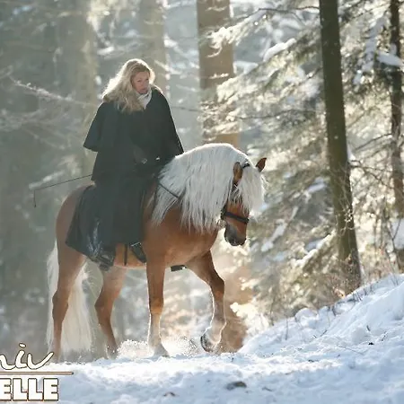 哈弗林格霍夫酒店 酒店