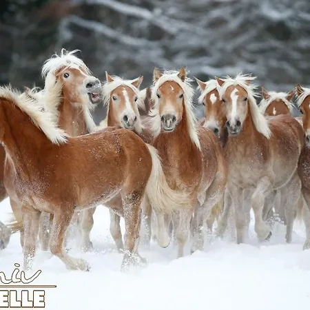 哈弗林格霍夫酒店 3* Roßhaupten