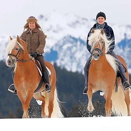 Haflingerhof Отель 3*