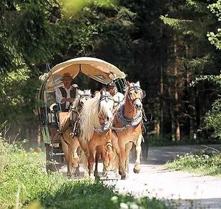 Отель Haflingerhof Росхауптен