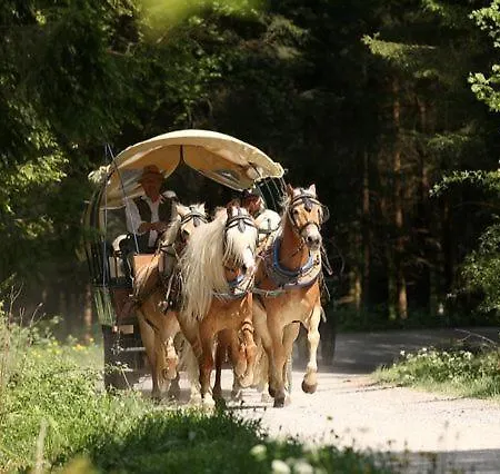 哈弗林格霍夫酒店 酒店 Roßhaupten