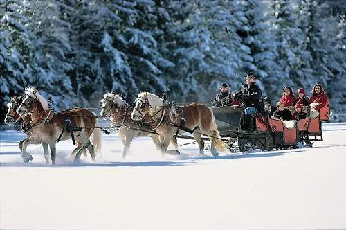 Hotel Haflingerhof 3*